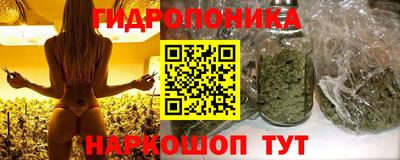 мяу мяу мука Тара