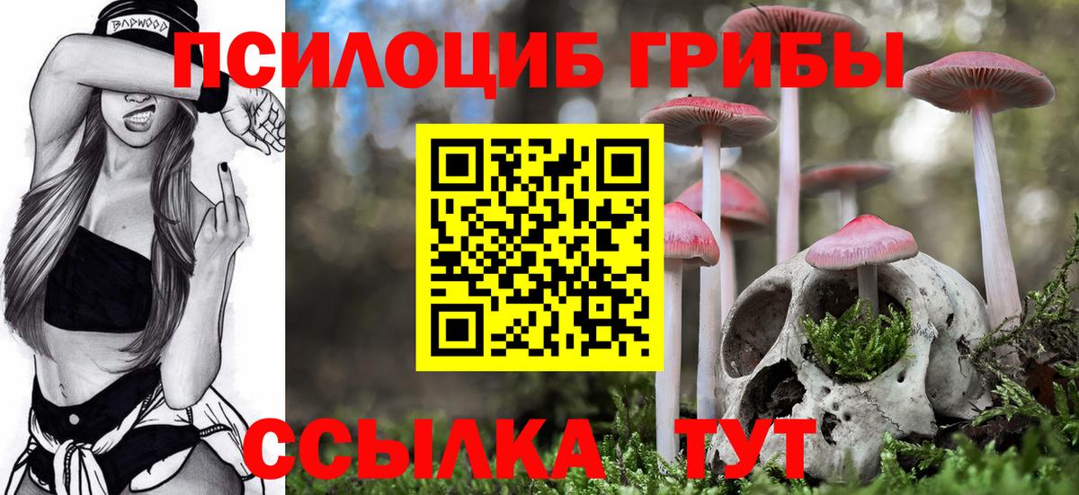 Псилоцибиновые грибы прущие грибы Аша